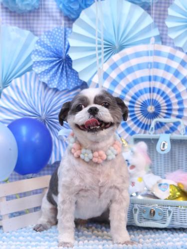 20231108大吉くん